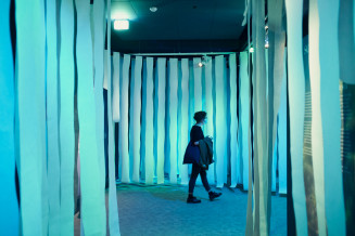 Exposition Algues Marines © Cyril Zannettacci