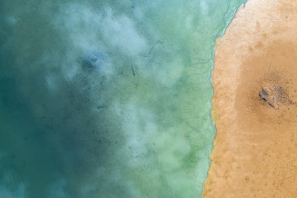 Littoral