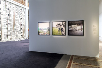 photo dans la salle d'exposition