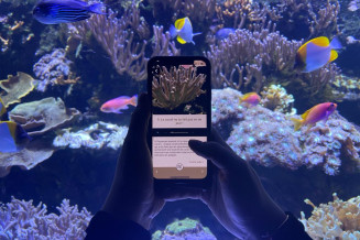 Parcours aquarium de l'application mobile