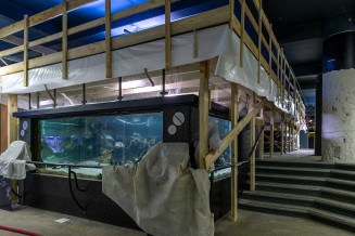 Travaux à l'Aquarium