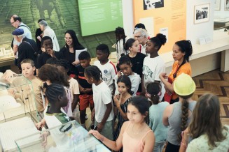 Visite du Musée - Été au Palais 2023