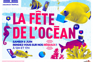 affiche_fete_ocean_2020