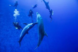 Objectif Sciences International