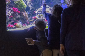 enfants aquarium
