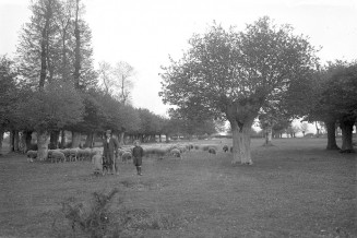 Photographie de Louis Clergeau © Société des amis du musée et du patrimoine de Pontlevoy. Archives départementales du Loir-et-Cher