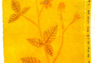 "Impressions végétales"