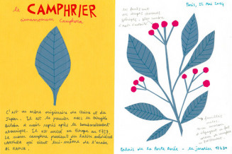 Herbier de papier