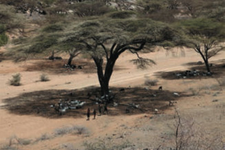 Visuel Expédition Grand Rift