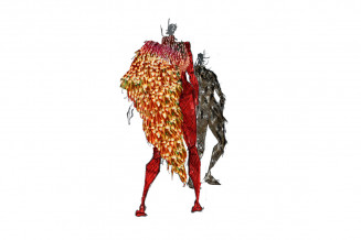 Visuel Birds of joy and sorrow