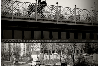 Surgissements de Centaures