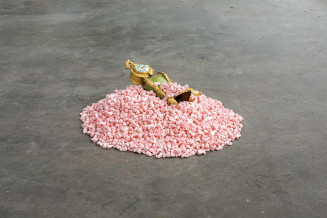 To whom it may concern. Benjamin Loyauté