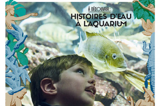 couverture_journal_du_palais_n5