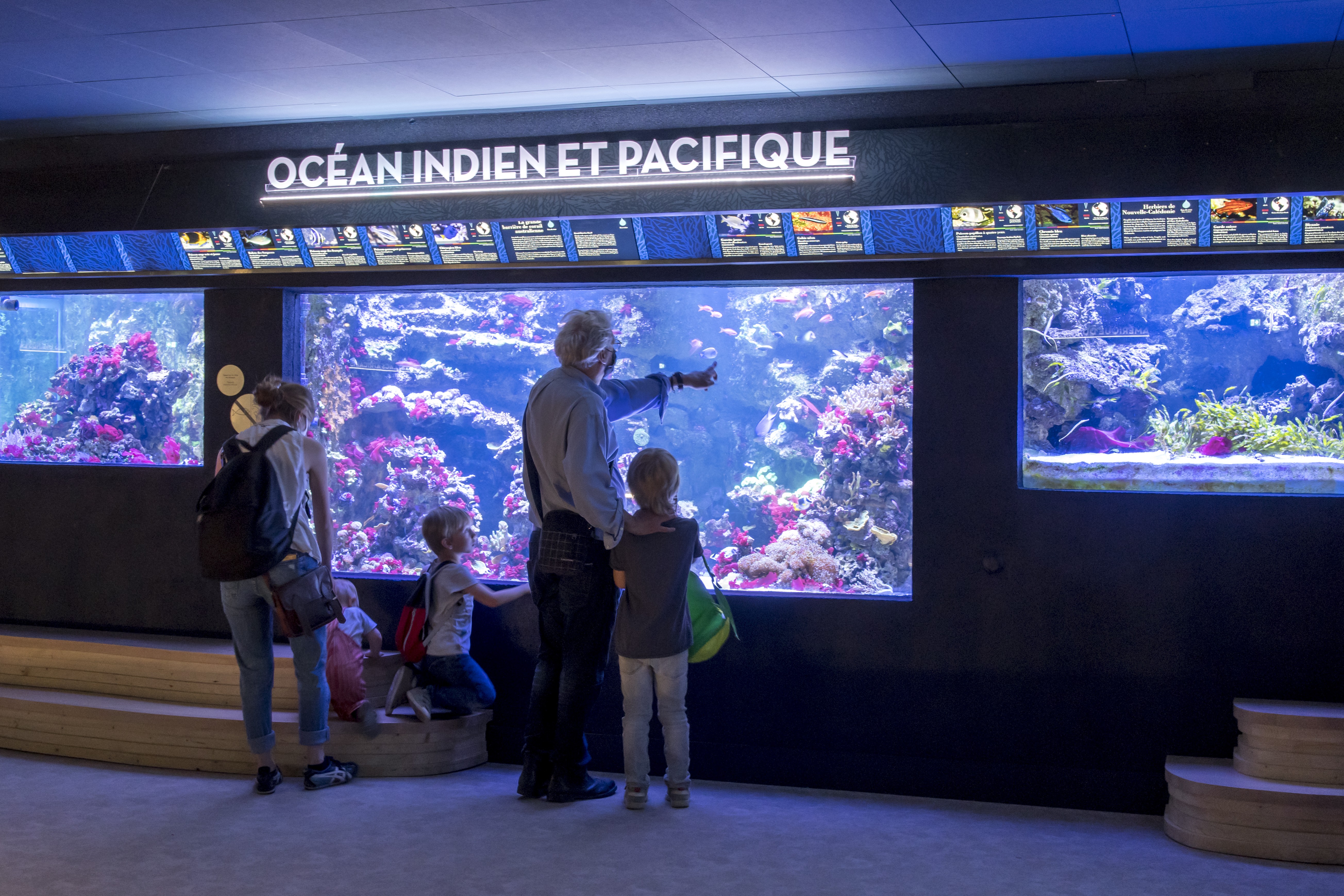 Aquarium tropical © Anne Volery