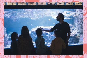 Aquarium Atelier enfant