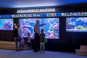 Aquarium tropical