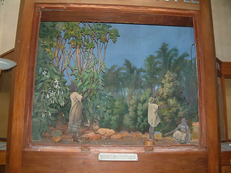 Avant restauration, diorama vanille et girofle, restauratrices Yveline Huguet et Solène Chatain, 2007