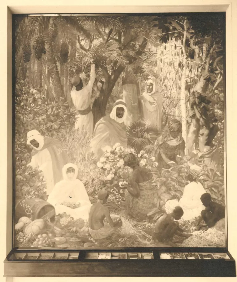 Présentation figurée des exportations de produits d’origine végétale, 1931