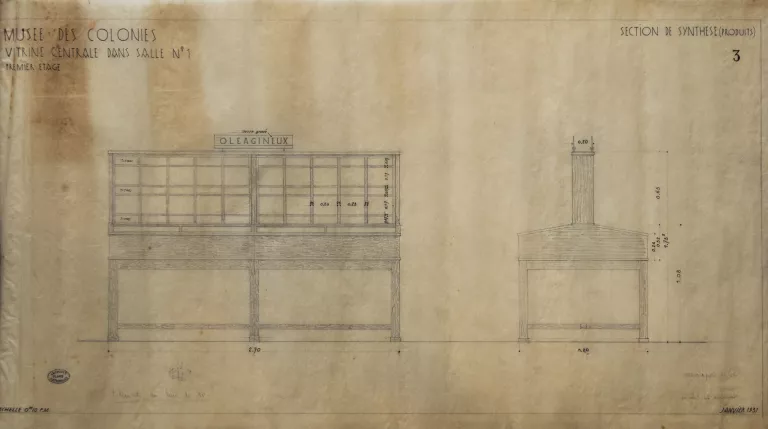 Vitrine centrale dans la salle des produits végétaux, janvier 1931