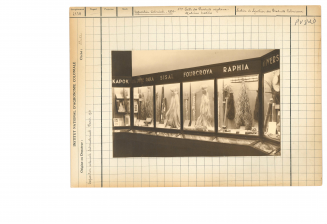 Archives CIRAD, salle des produits végétaux, vitrine du raphia n° 00002912, 1931   et production et consommation Vanille n° 00000688